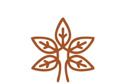 INSEGNANTI-YOGA-QUALIFICATE_OK